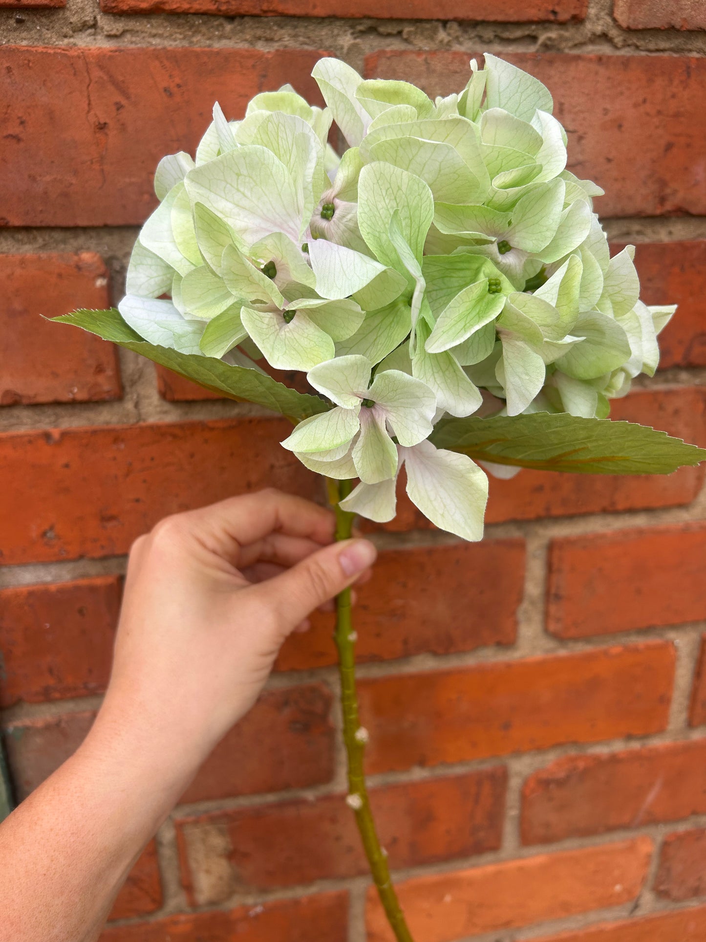 Faux Hydrangea Stem – Soft Lime Green