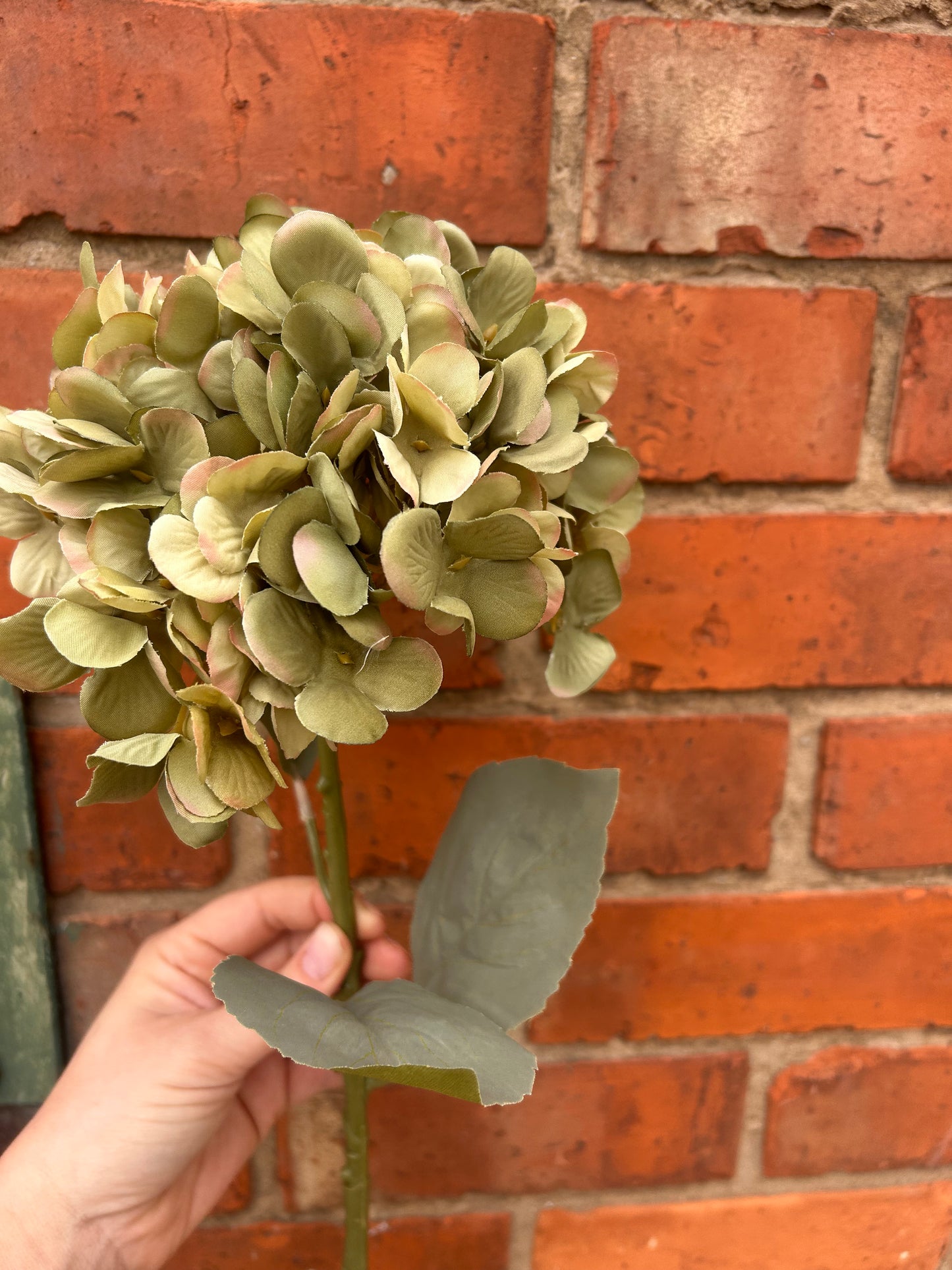 Faux Hydrangea Stem – Sage Green