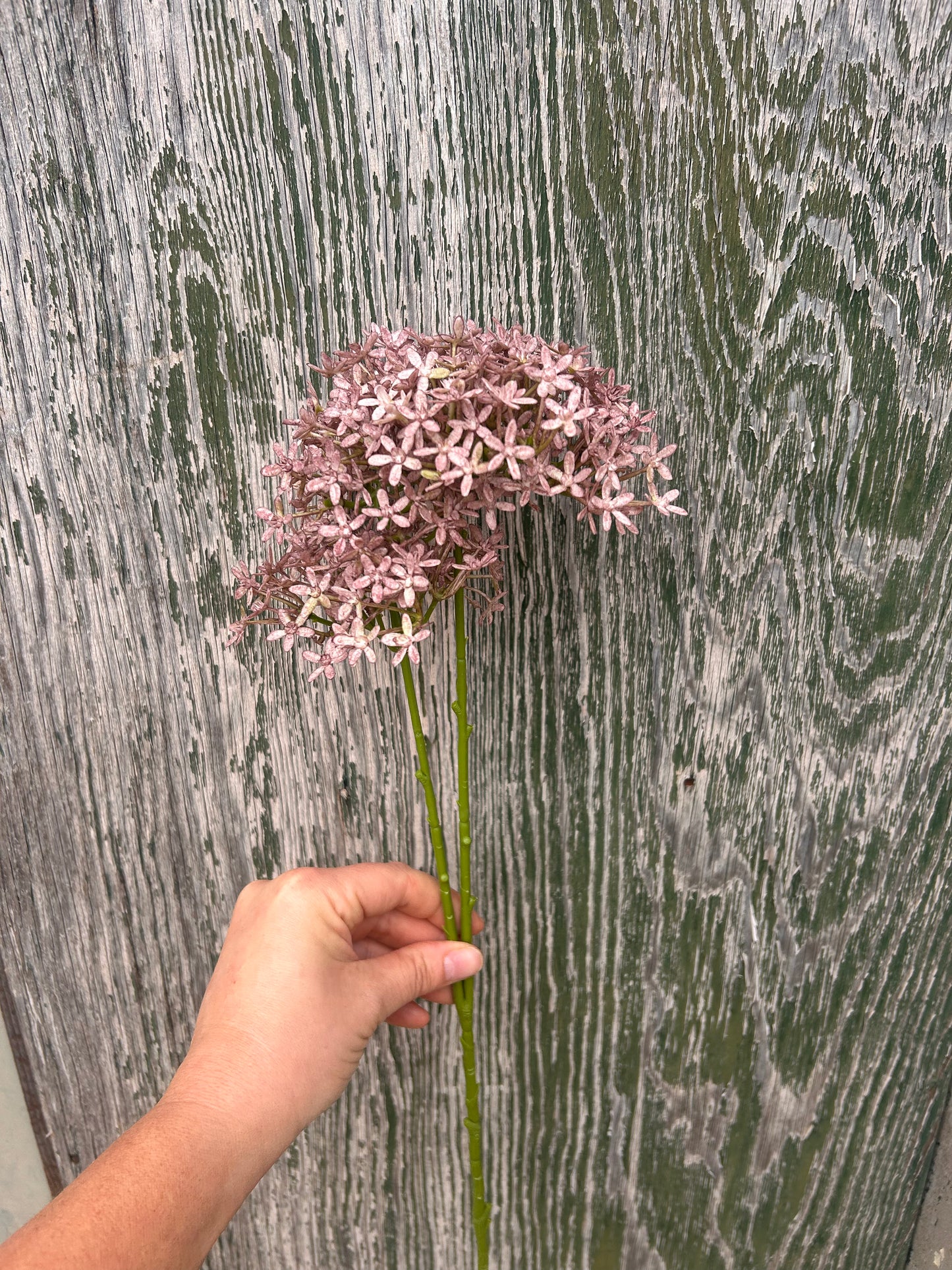 Faux Dusky Pink Starflower Spray