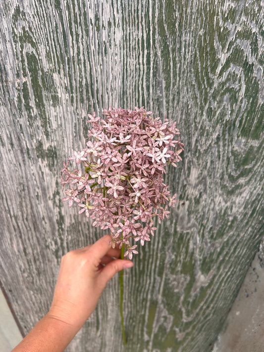 Faux Dusky Pink Starflower Spray