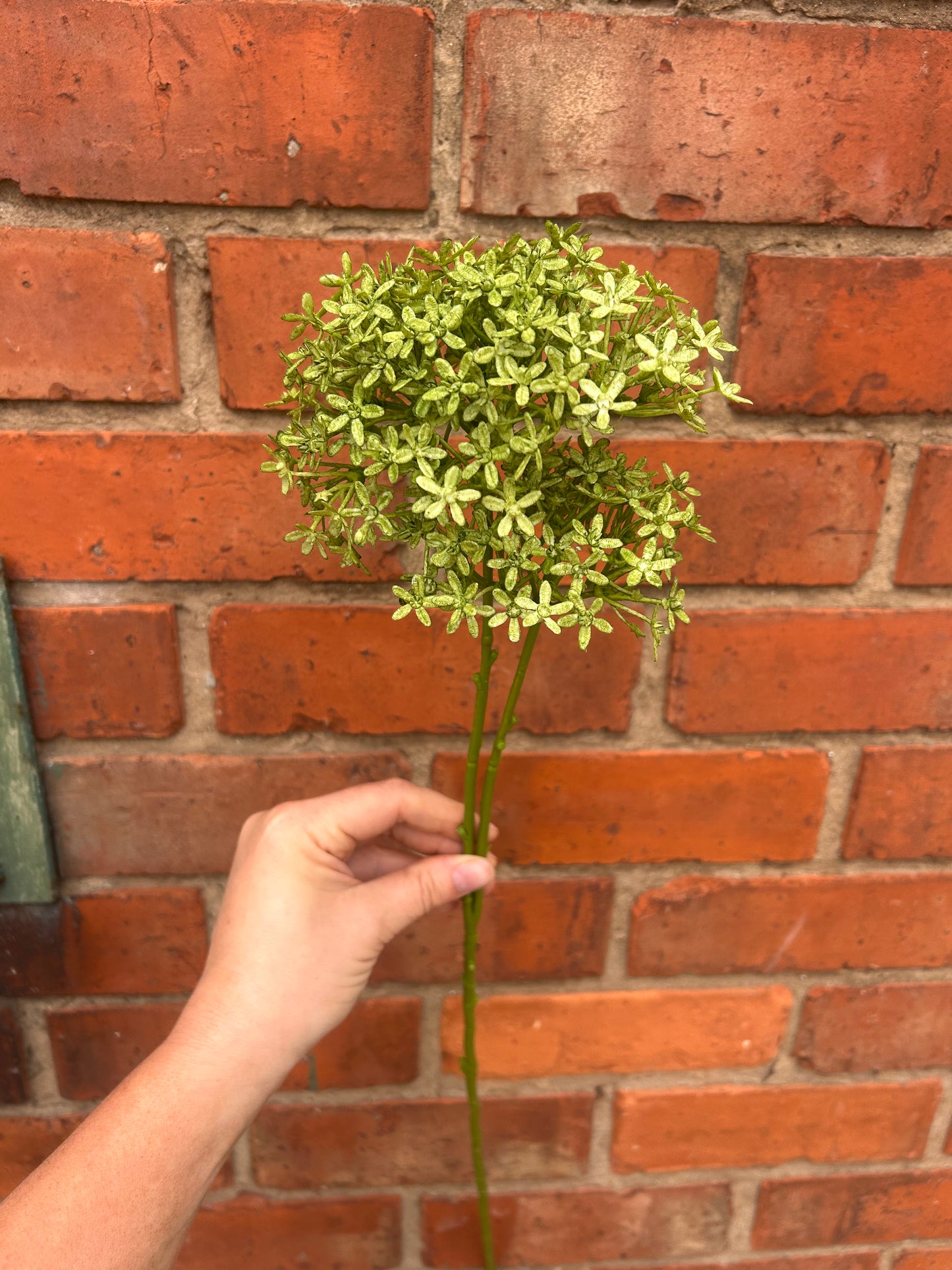 Faux Green Viburnum Cluster Stem