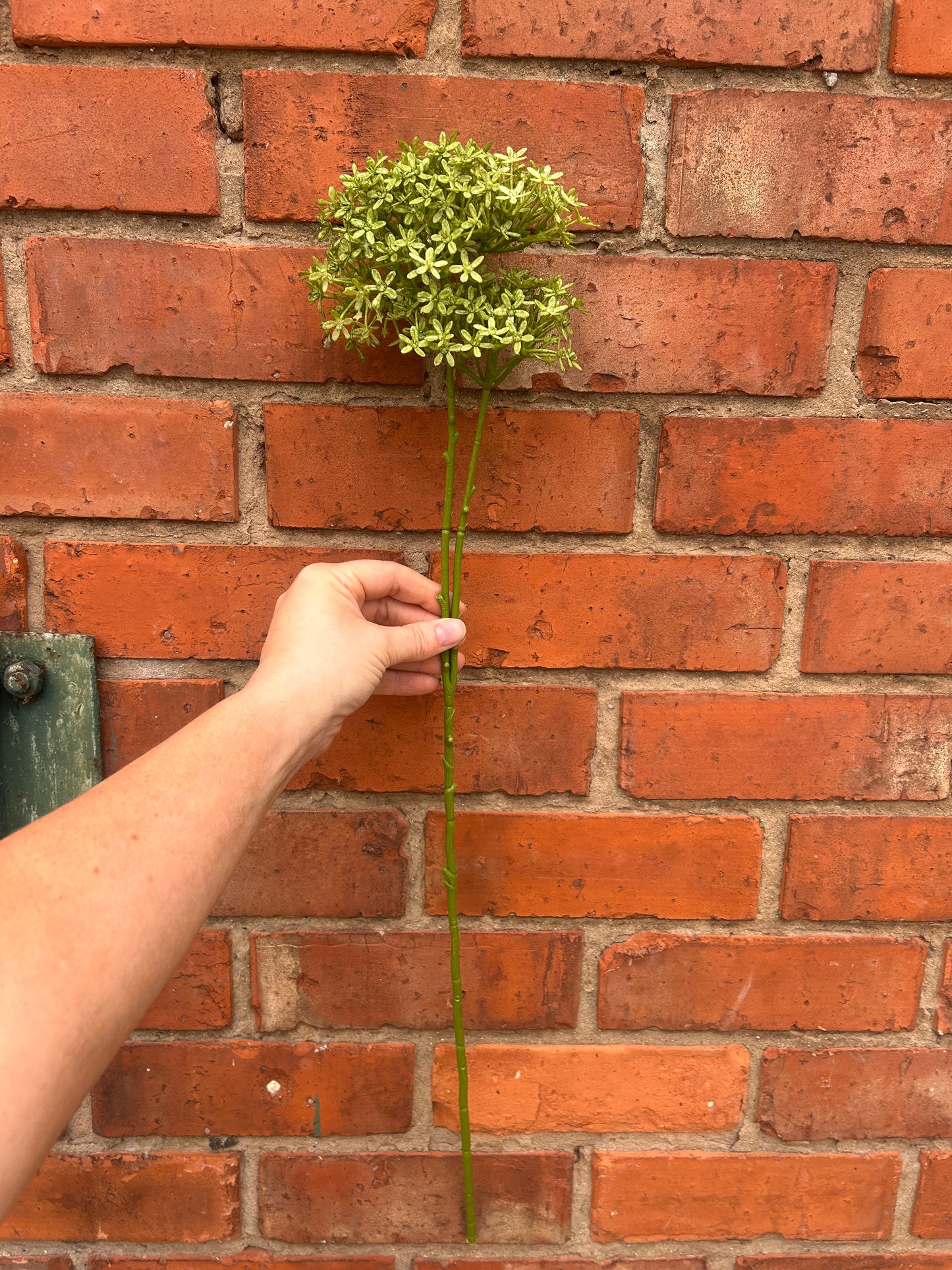 Faux Green Viburnum Cluster Stem