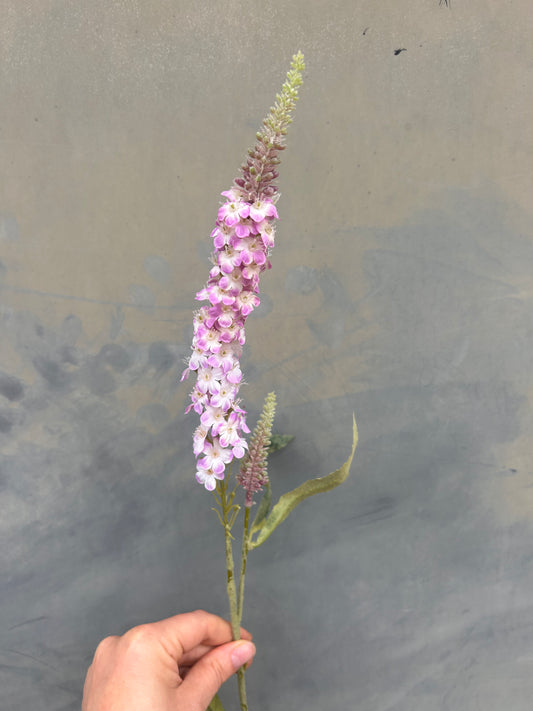 Faux Veronica Spicata Stem – Blush Pink