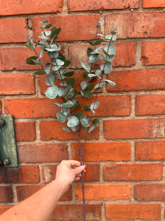 Faux Eucalyptus Stem – Silver Dollar