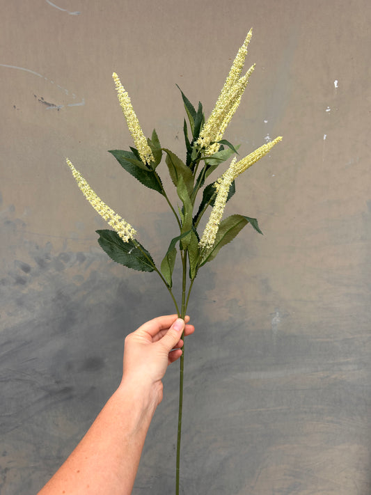 Faux Veronica Spray – Soft Cream