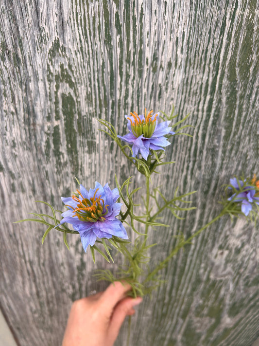 Faux Nigella Stem – Love in a Mist