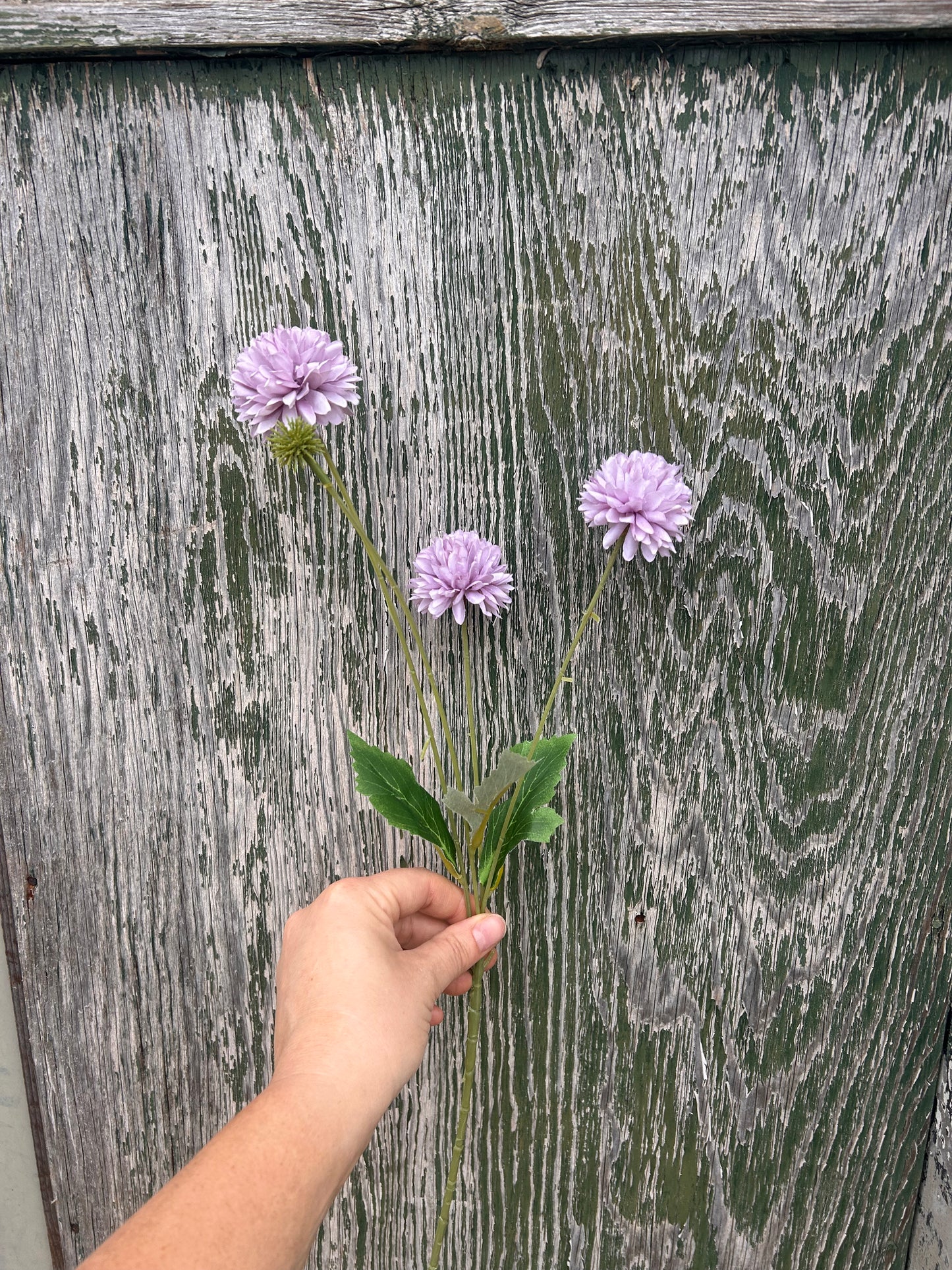 Faux Scabiosa Spray – Soft Lilac