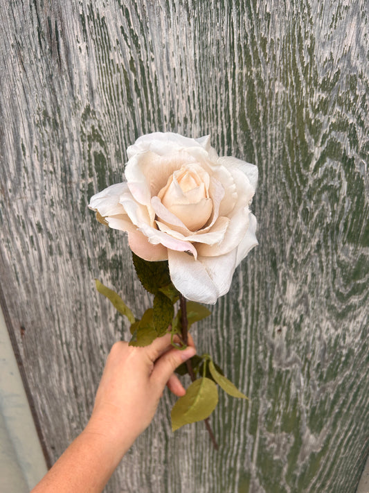 Faux Rose Stem – Cream