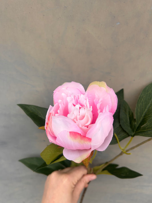 Faux Peony Stem – Soft Pink