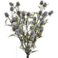 Eryngium Blue Thistle - The Barn Shed