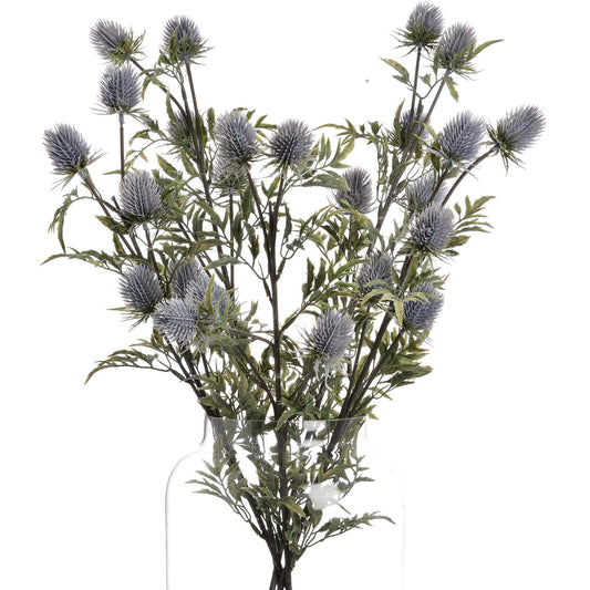 Eryngium Blue Thistle - The Barn Shed