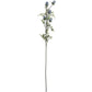 Eryngium Blue Thistle - The Barn Shed