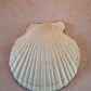 Hydrangea Botanical Scallop Shell Trinket Dish