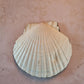Blue Tile Pattern Scallop Shell Trinket Dish