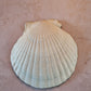 Heritage Botanical Scallop Shell Trinket Dish