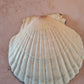 Midnight Botanical Scallop Shell Trinket Dish