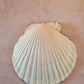 Classic Heritage Floral Scallop Shell Trinket Dish