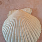 Bold Heritage Floral Scallop Shell Trinket Dish