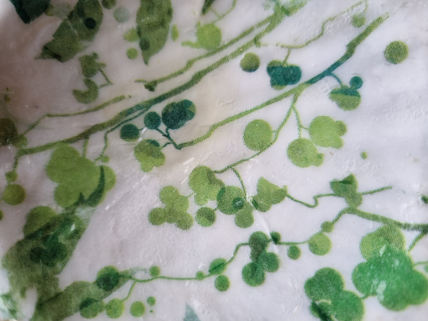 Fresh Botanical Green Scallop Shell Trinket Dish