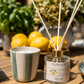 Kitchen Garden Natural Essential Oil Ceramic Candle- Lemon and Basil
