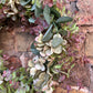 Green Hydrangea & Eucalyptus Artificial Wreath