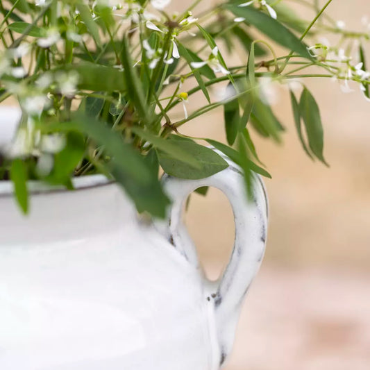 Glazed Vase with Handles