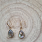 14ct Gold Plated Abalone Shell Drop Earrings