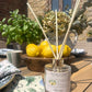 Kitchen Garden Natural Reed Diffuser-Lemon & Basil, 100ml