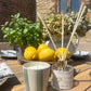 Kitchen Garden Natural Reed Diffuser-Lemon & Basil, 100ml