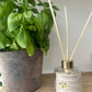 Kitchen Garden Natural Reed Diffuser-Lemon & Basil, 100ml