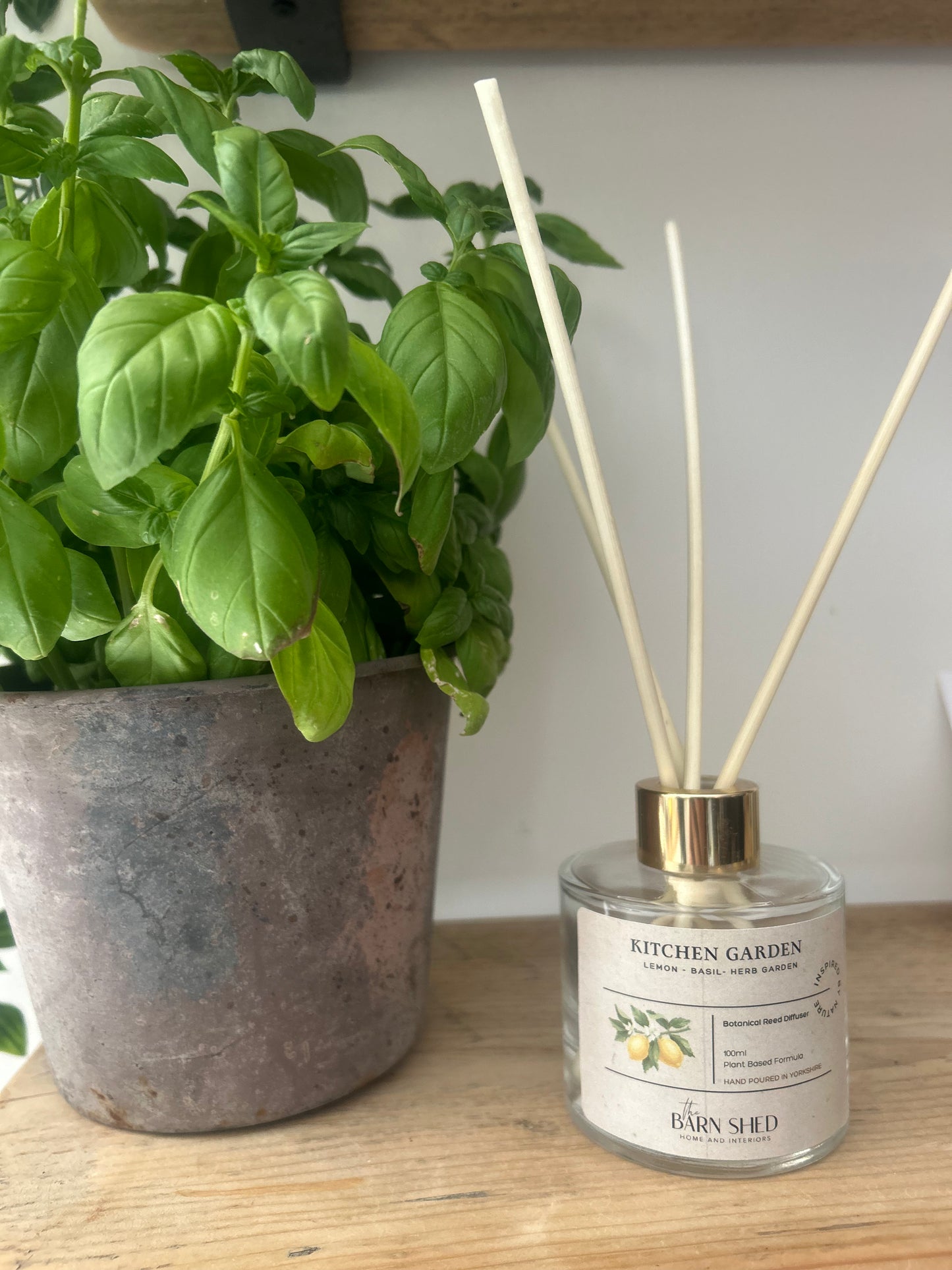 Kitchen Garden Natural Reed Diffuser-Lemon & Basil, 100ml
