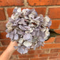 Faux Hydrangea Stem – Faded Lilac & Grey