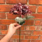 Faux Hydrangea Stem – Dusty Rose & Plum
