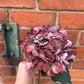 Faux Hydrangea Stem – Dusty Rose & Plum