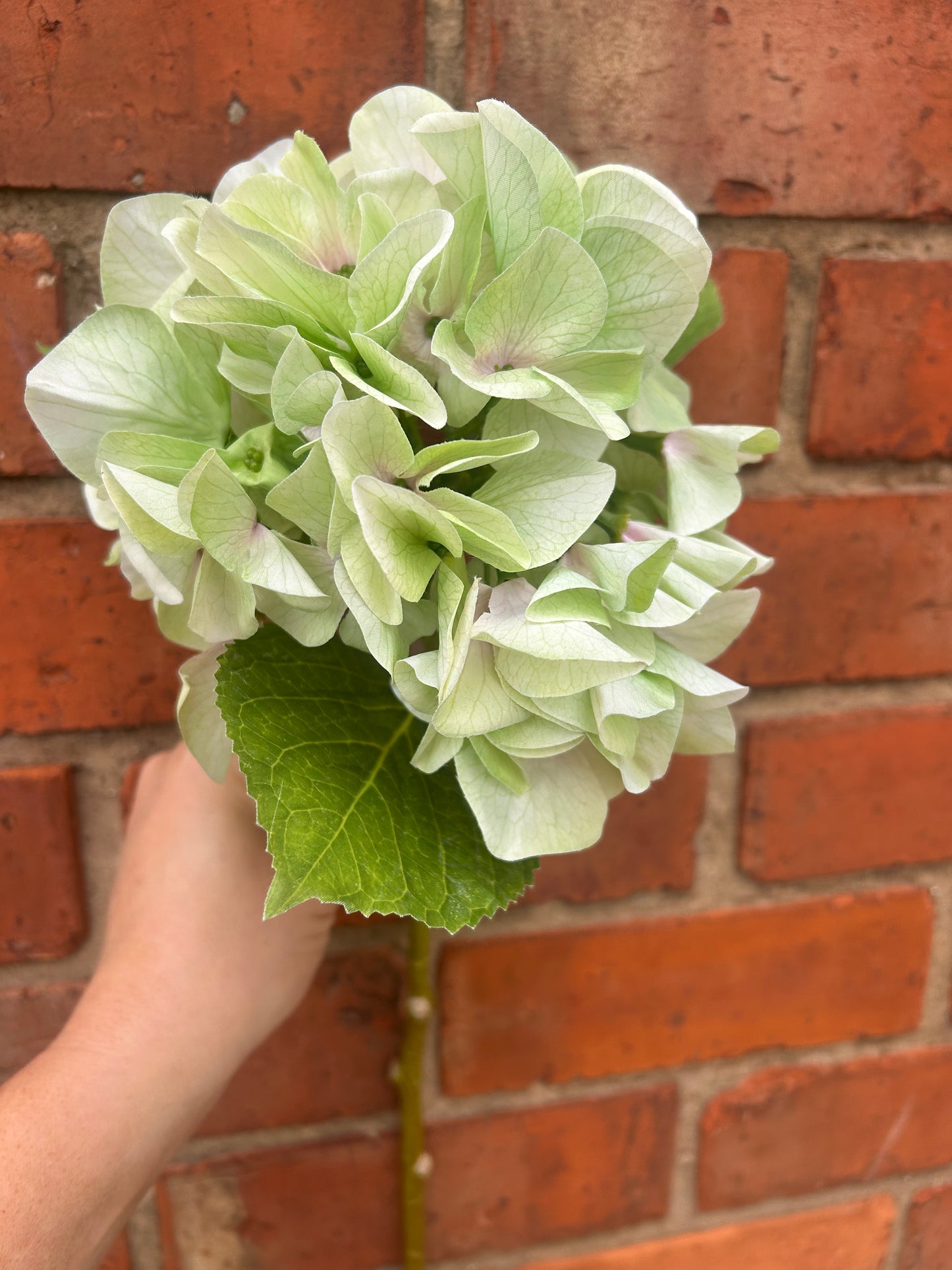 Faux Hydrangea Stem – Soft Lime Green