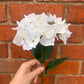 Faux Hydrangea Stem – White
