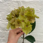 Faux Olive Green Hydrangea Stem