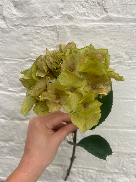 Faux Olive Green Hydrangea Stem