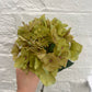 Faux Olive Green Hydrangea Stem