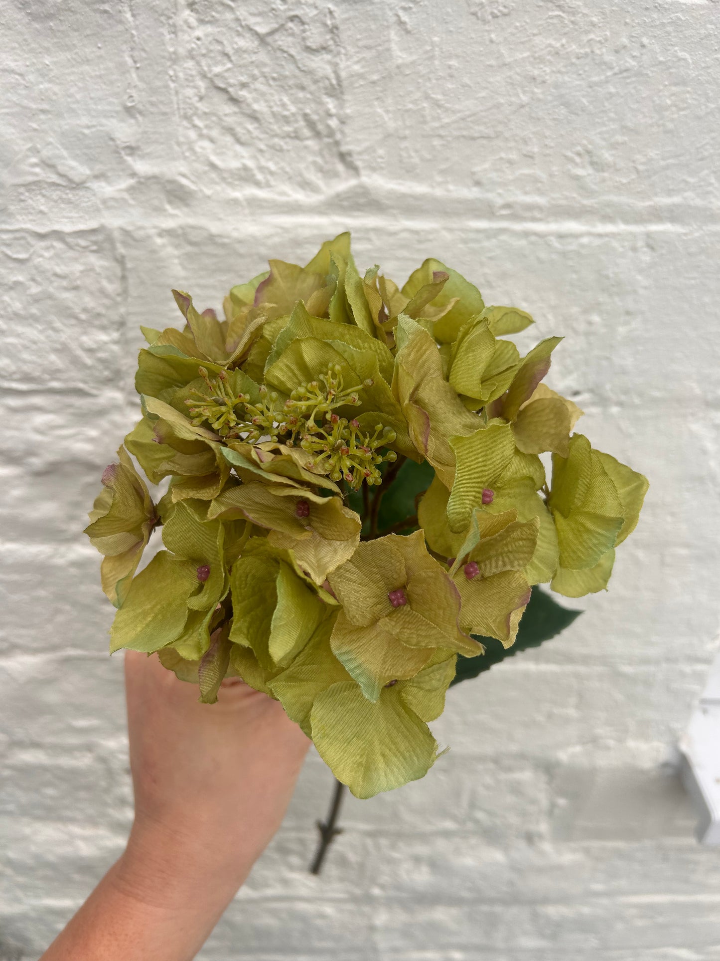 Faux Olive Green Hydrangea Stem