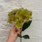 Faux Olive Green Hydrangea Stem