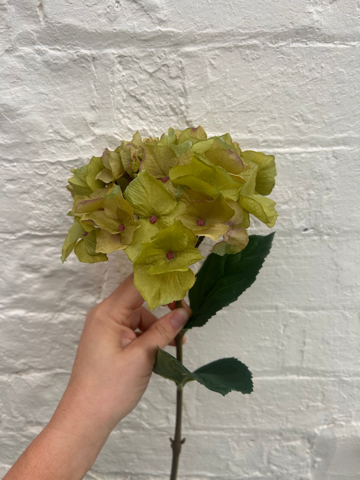 Faux Olive Green Hydrangea Stem