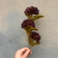 Faux Chrysanthemum Stem – Deep Plum