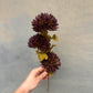 Faux Chrysanthemum Stem – Deep Plum