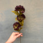 Faux Chrysanthemum Stem – Deep Plum