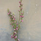 Faux Waxflower Spray – Pink & White