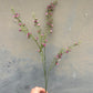 Faux Waxflower Spray – Pink & White