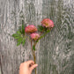 Faux Pink Allium Spray