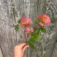 Faux Pink Allium Spray