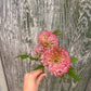 Faux Pink Allium Spray